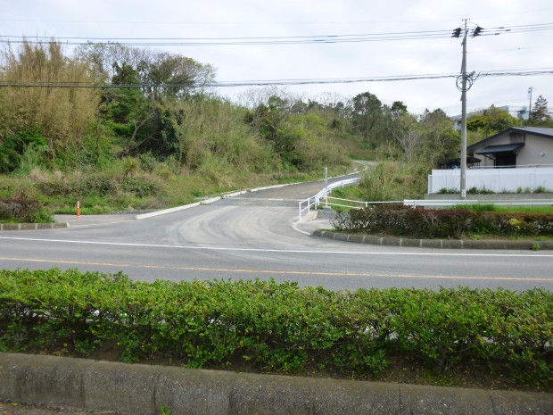P1050071